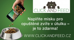 cnf---banner-velky.jpg